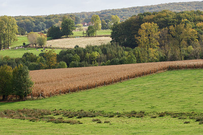 BUITEN BEELD Foto: 75354