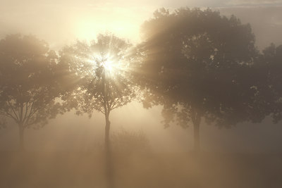BUITEN BEELD Foto: 75428