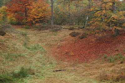 BUITEN BEELD Foto: 75452