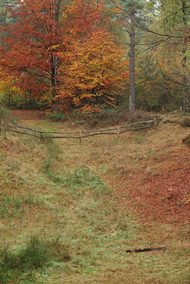 BUITEN BEELD Foto: 75453