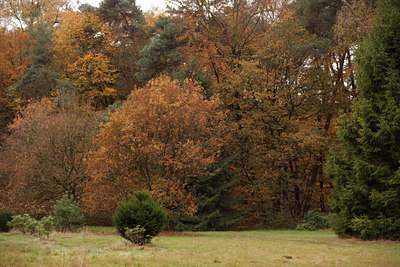 BUITEN BEELD Foto: 75462