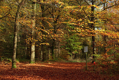 BUITEN BEELD Foto: 75472