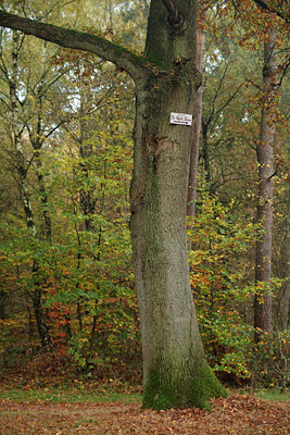 BUITEN BEELD Foto: 75477