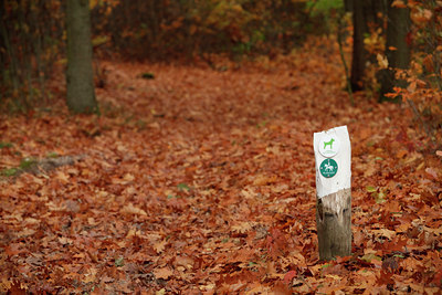 BUITEN BEELD Foto: 75481