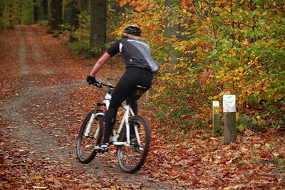 BUITEN BEELD Foto: 75482