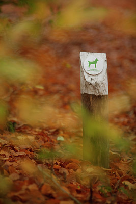 BUITEN BEELD Foto: 75487