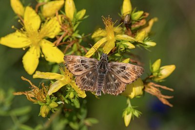 BUITEN BEELD Foto: 75506