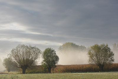 BUITEN BEELD Foto: 75525