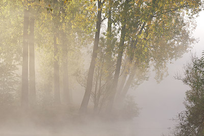 BUITEN BEELD Foto: 75538