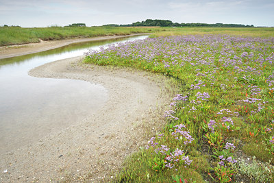 BUITEN BEELD Foto: 75541