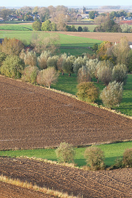BUITEN BEELD Foto: 75543