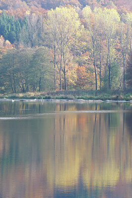 BUITEN BEELD Foto: 75549
