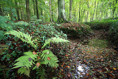 BUITEN BEELD Foto: 75551