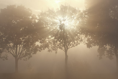 BUITEN BEELD Foto: 75602