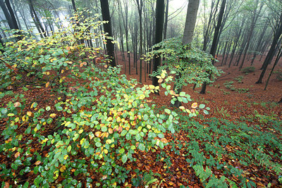 BUITEN BEELD Foto: 75606
