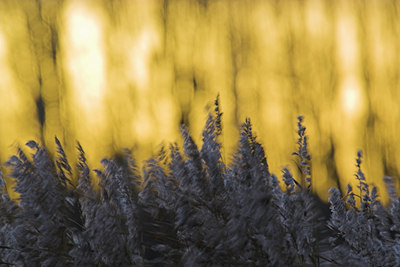 BUITEN BEELD Foto: 75622