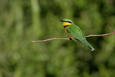 BUITEN BEELD Foto: 75679