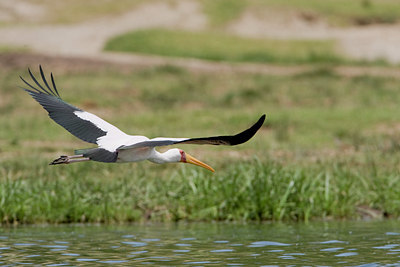 BUITEN BEELD Foto: 75690