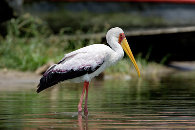 BUITEN BEELD Foto: 75693