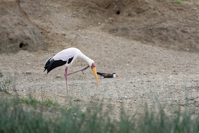 BUITEN BEELD Foto: 75696