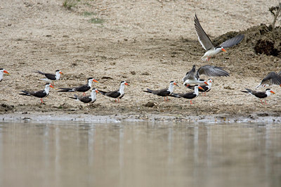 BUITEN BEELD Foto: 75702