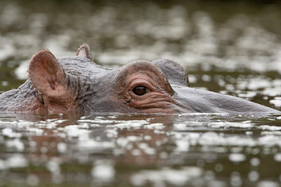 BUITEN BEELD Foto: 75745