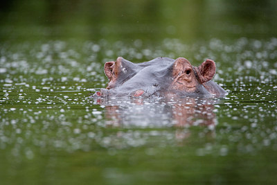 BUITEN BEELD Foto: 75747