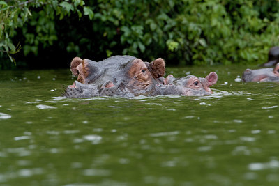 BUITEN BEELD Foto: 75748