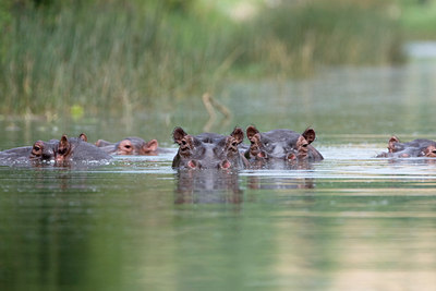 BUITEN BEELD Foto: 75750
