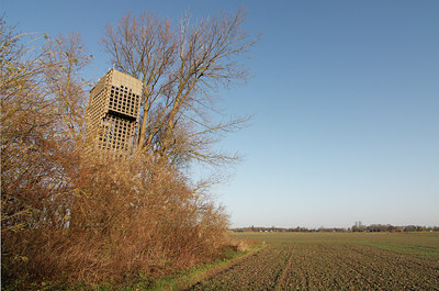 BUITEN BEELD Foto: 75798