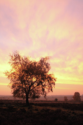 BUITEN BEELD Foto: 75837