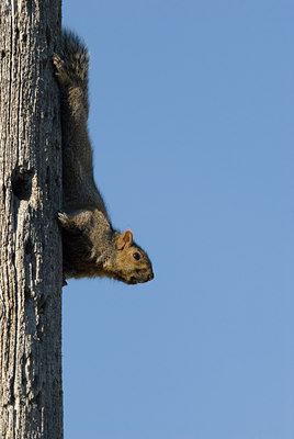 BUITEN BEELD Foto: 75887