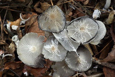 BUITEN BEELD Foto: 75903