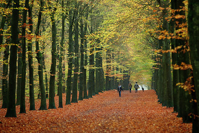 BUITEN BEELD Foto: 75949