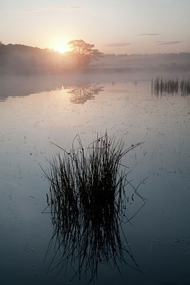 BUITEN BEELD Foto: 75958