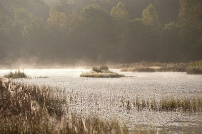 BUITEN BEELD Foto: 75962