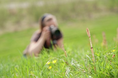BUITEN BEELD Foto: 75979