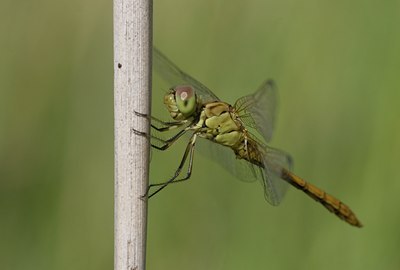 BUITEN BEELD Foto: 75988