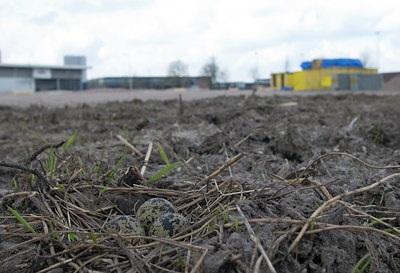 BUITEN BEELD Foto: 75990