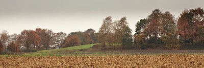 BUITEN BEELD Foto: 76068
