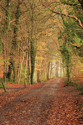BUITEN BEELD Foto: 76072