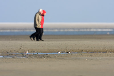 BUITEN BEELD Foto: 76093