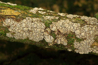 BUITEN BEELD Foto: 76094