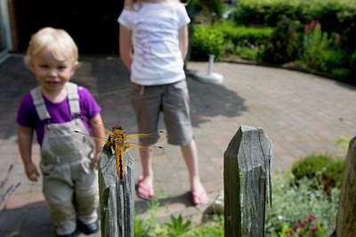 BUITEN BEELD Foto: 76102