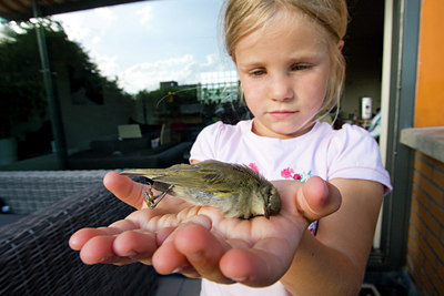 BUITEN BEELD Foto: 76111
