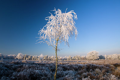 BUITEN BEELD Foto: 76127