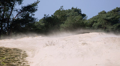 BUITEN BEELD Foto: 76131