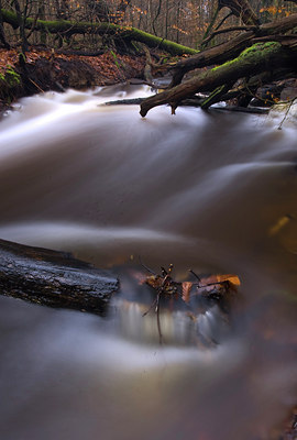 BUITEN BEELD Foto: 76145