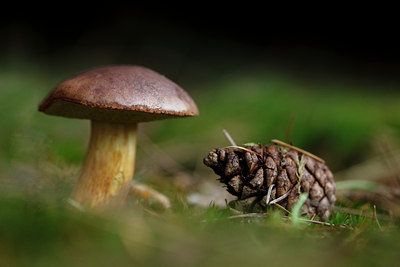 BUITEN BEELD Foto: 76159