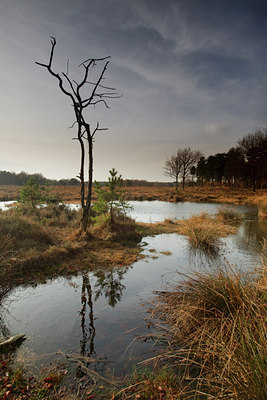 BUITEN BEELD Foto: 76161
